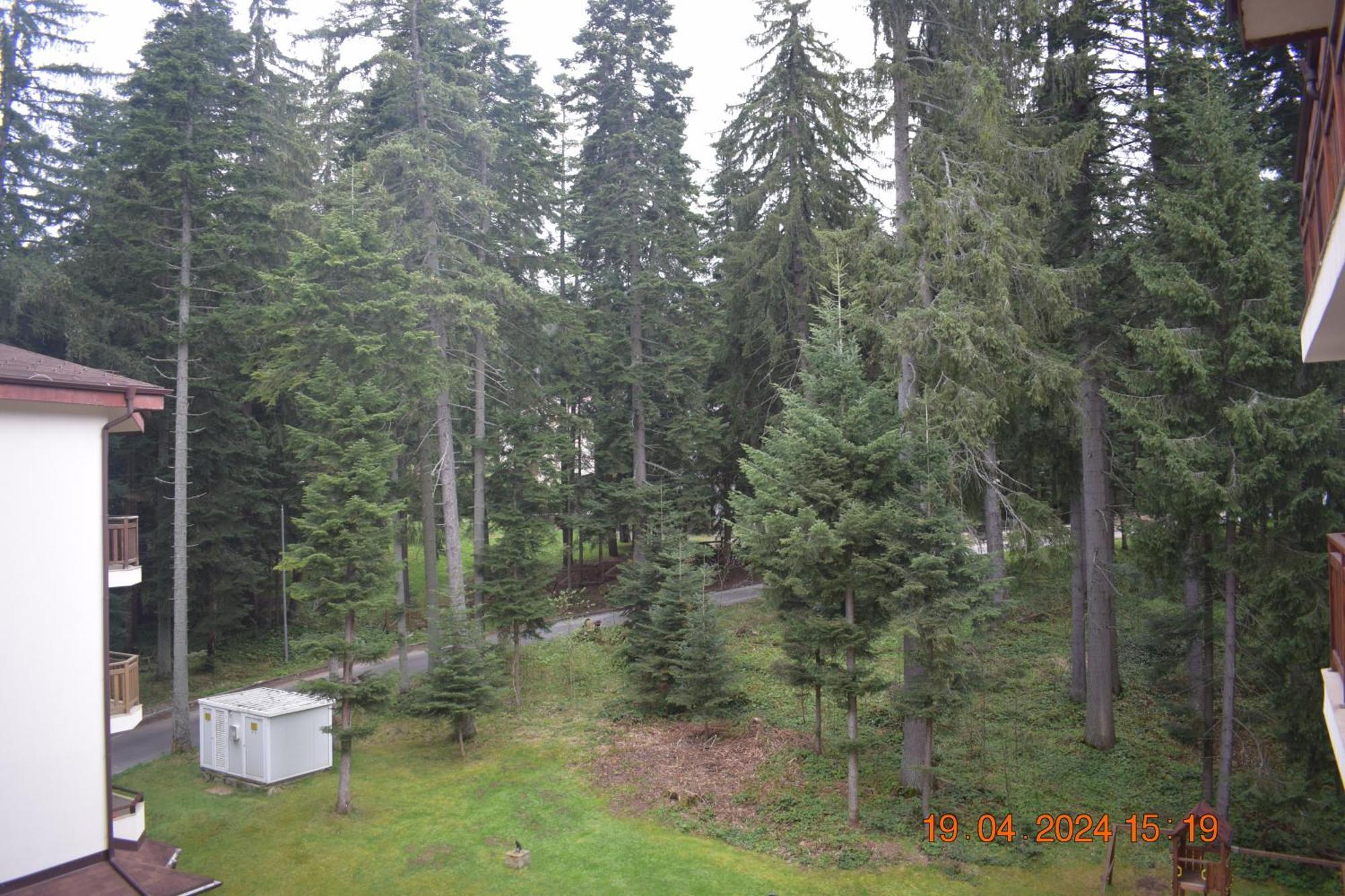 Villa Park Guest Apartments Borovets Exterior foto